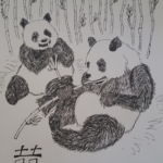 WIP linework and texture shot for pandas and bamboo cookbook cover pandasagain