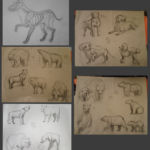 Animal anatomy practice, a sketchdump of dogs, wolves, and bears. dogs wolves bears