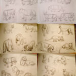 Animal anatomy practice, a sketchdump of felines. felines