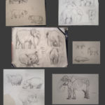 Animal anatomy practice: a sketchdump of various pachyderms, elephants, tapir, rhinos, and hippos. pachyderms