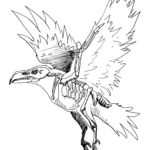 Bone Raven - ballpoint pen, a study of raven skeleton Bone Raven - ballpoint pen, a study of raven skeleton